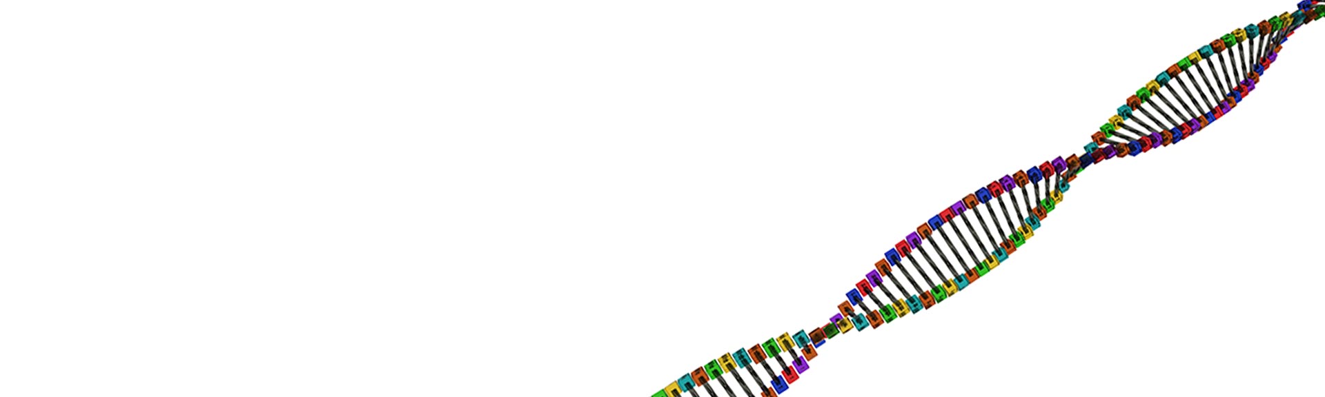 DNA sequencing